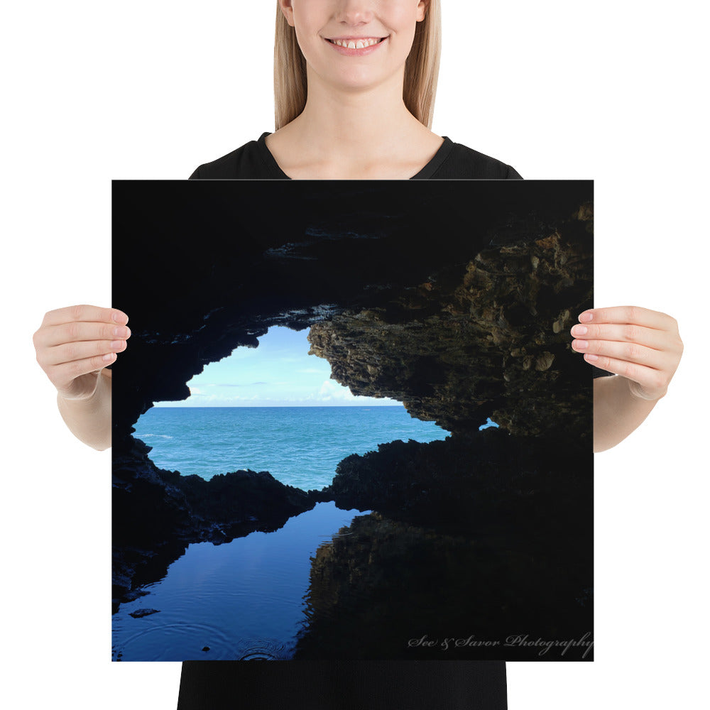 Animal Flower Cave - See & Savor