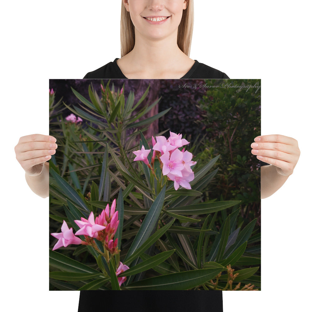 Bajan Flowers - See & Savor