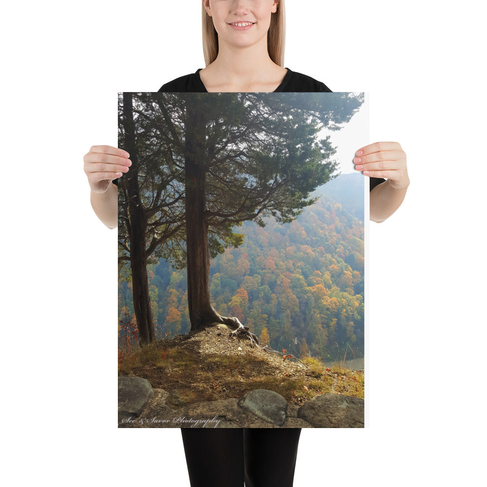 Cliff-Top - See & Savor