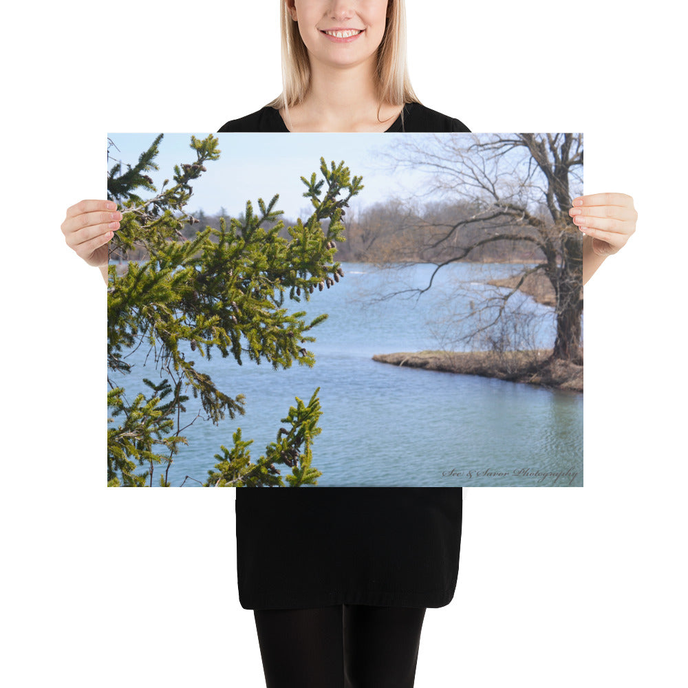 Evergreen - See & Savor