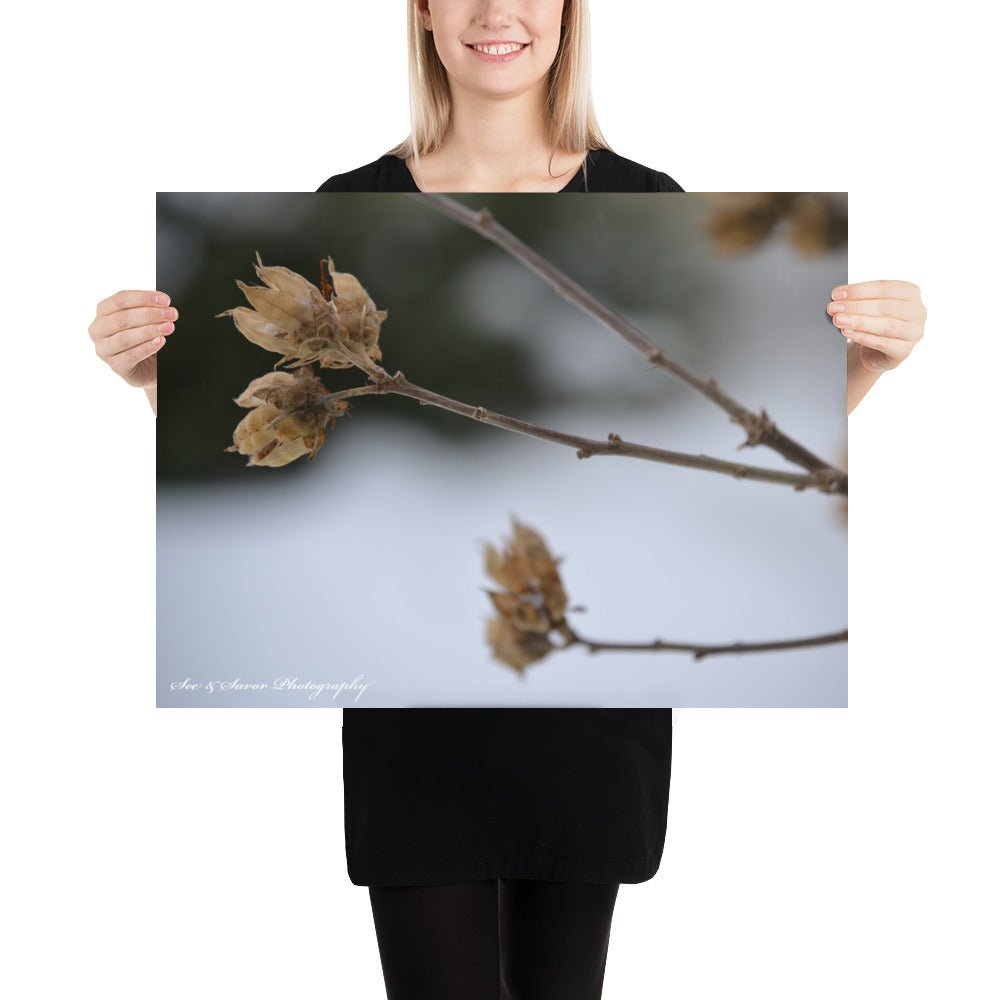 Dead of Winter - See & Savor