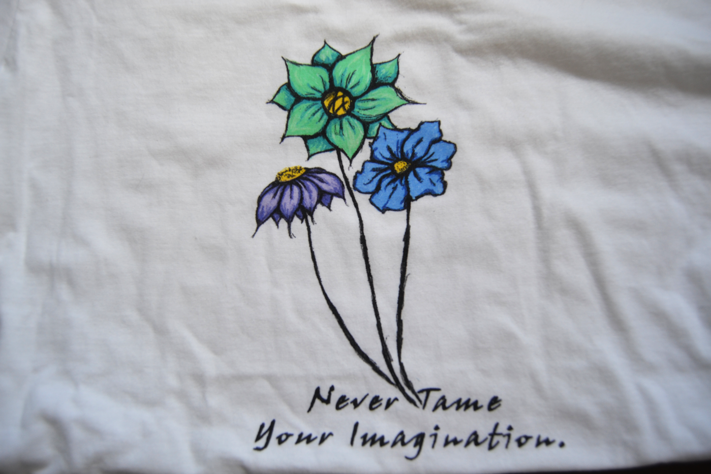 Never Tame Your Imagination T-Shirt (Unisex)