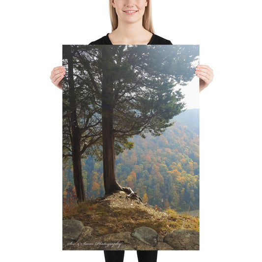 Cliff-Top - See & Savor