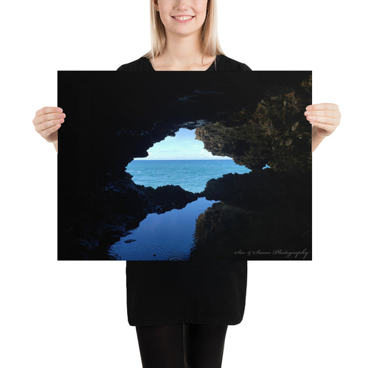 Animal Flower Cave - See & Savor