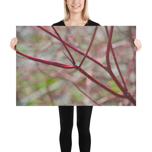 Crimson Branches - See & Savor