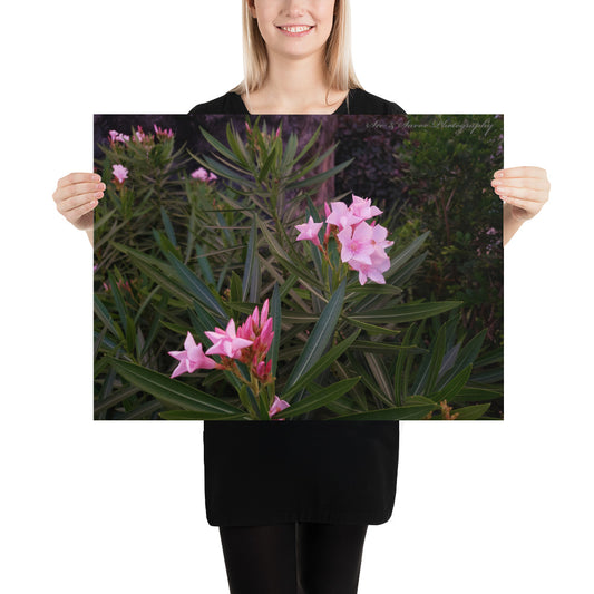 Bajan Flowers - See & Savor