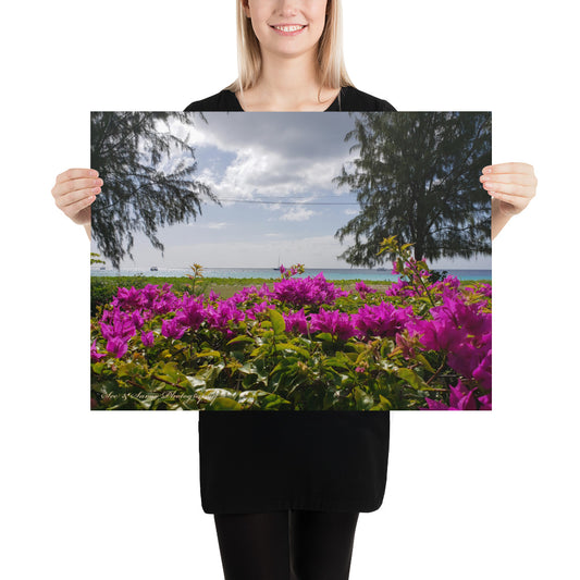 Bajan Floral View - See & Savor