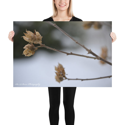 Dead of Winter - See & Savor